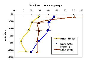 graf2